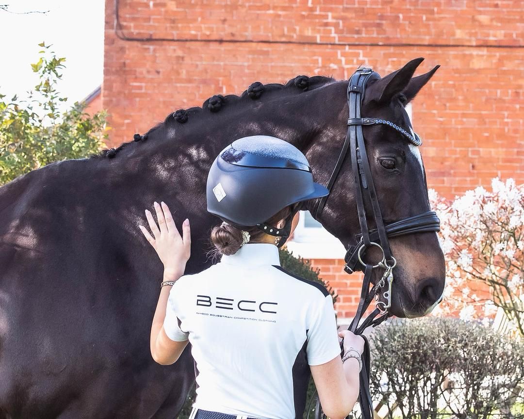 Equestrian competition clothing